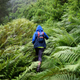 Image for article titled That Study About the Health Benefits of Nature Comes With an Important Caveat